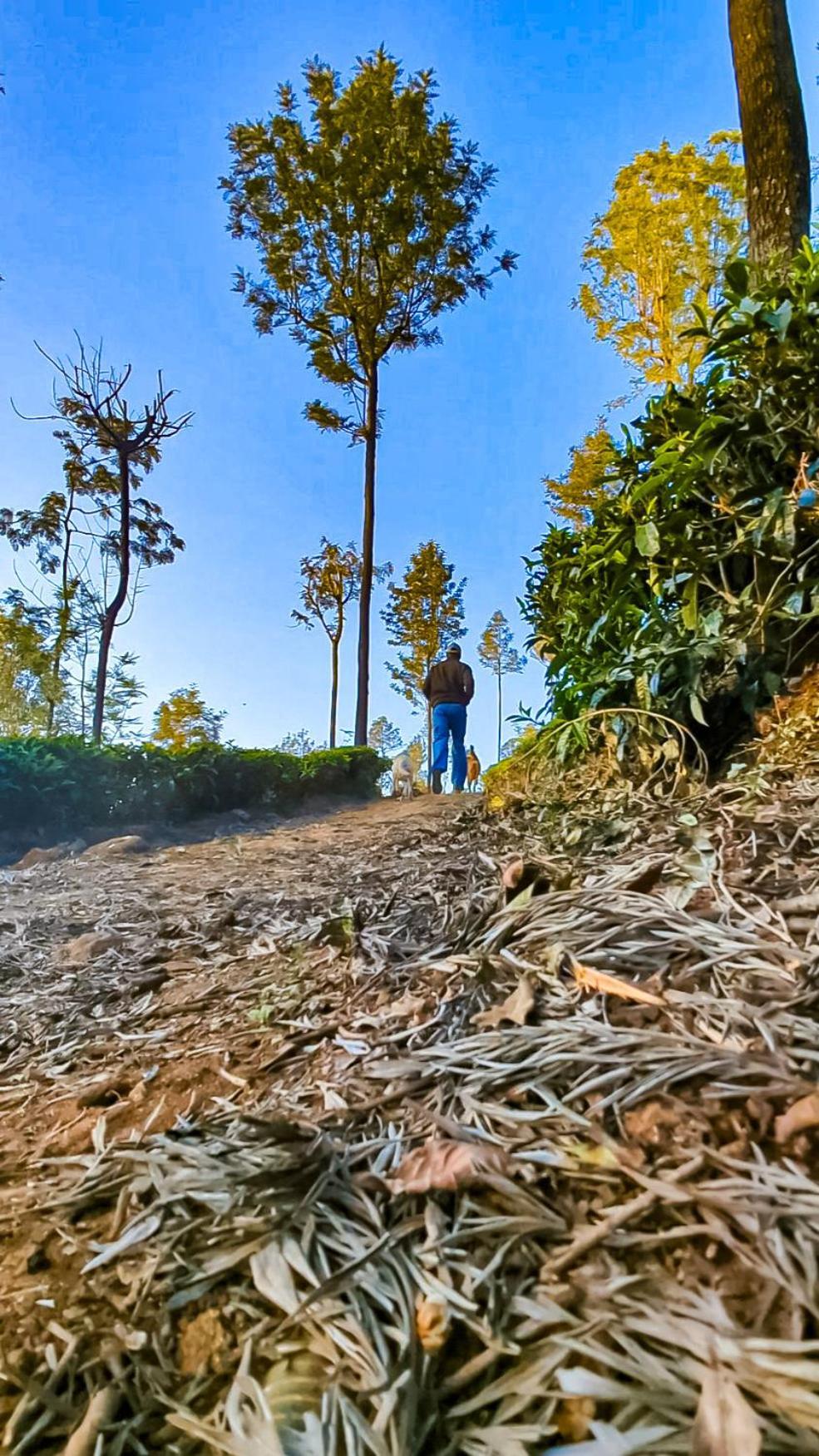 Valley View Inn, โกตากิริ ภายนอก รูปภาพ